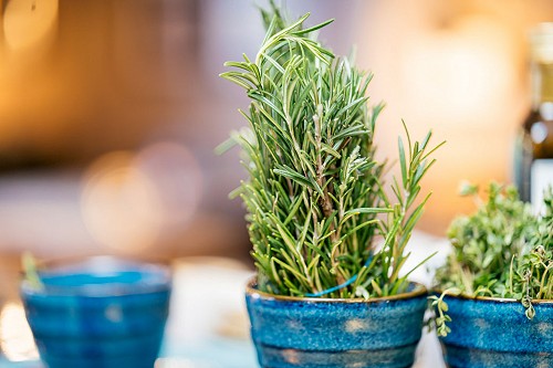 Whyte melville gallery image