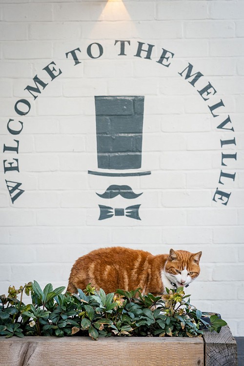 Whyte melville gallery image